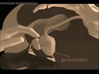 Hvordan til gi en prostata massasje, gratis xxx massasje x karakter klipp film
